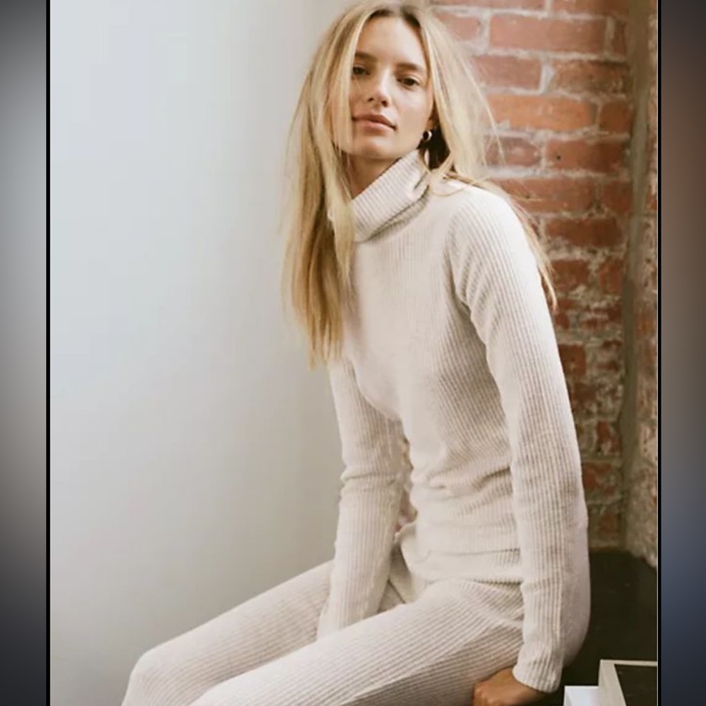 Aritzia Babaton Traverse Sweater Top